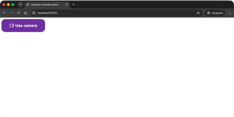 The camera button with custom colors, rounded corners, and padding